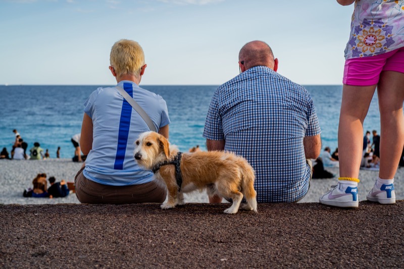 En Famille